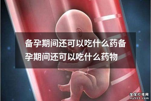 备孕期间还可以吃什么药备孕期间还可以吃什么药物