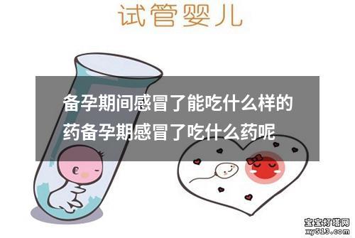 备孕期间感冒了能吃什么样的药备孕期感冒了吃什么药呢