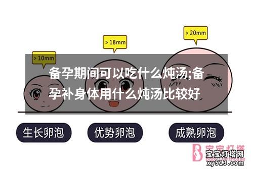 备孕期间可以吃什么炖汤;备孕补身体用什么炖汤比较好