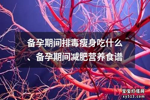 备孕期间排毒瘦身吃什么、备孕期间减肥营养食谱