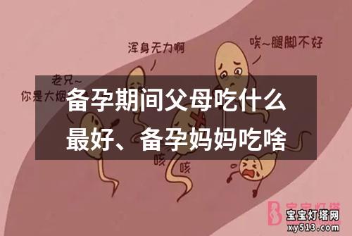 备孕期间父母吃什么最好、备孕妈妈吃啥