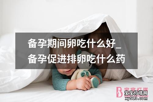 备孕期间卵吃什么好_备孕促进排卵吃什么药