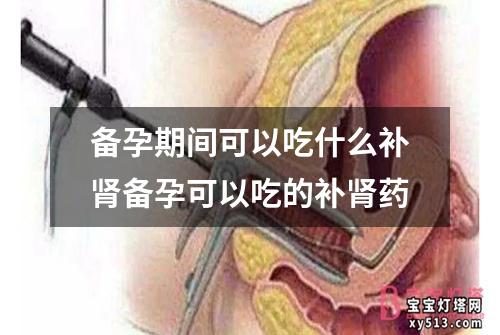 备孕期间可以吃什么补肾备孕可以吃的补肾药