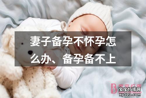 妻子备孕不怀孕怎么办、备孕备不上