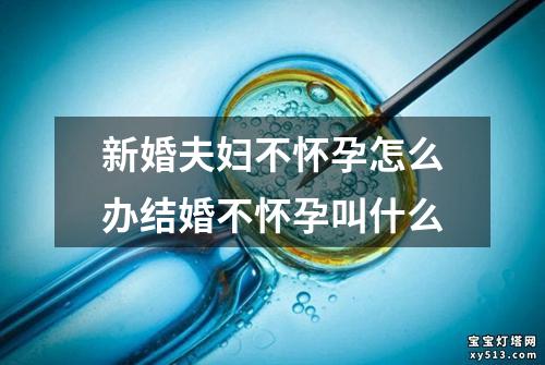 新婚夫妇不怀孕怎么办结婚不怀孕叫什么