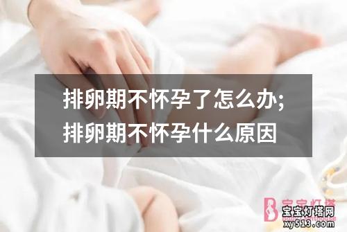 排卵期不怀孕了怎么办;排卵期不怀孕什么原因