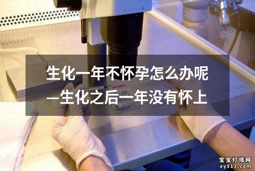 生化一年不怀孕怎么办呢—生化之后一年没有怀上