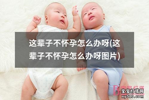 这辈子不怀孕怎么办呀(这辈子不怀孕怎么办呀图片)