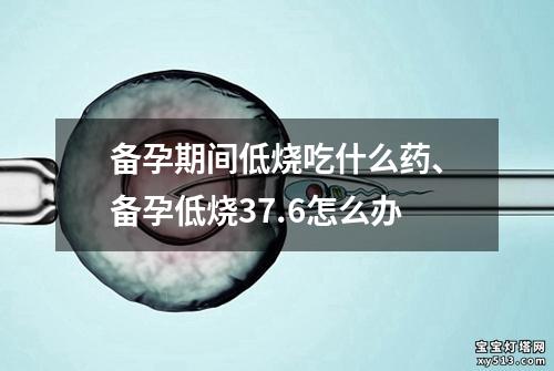 备孕期间低烧吃什么药、备孕低烧37.6怎么办