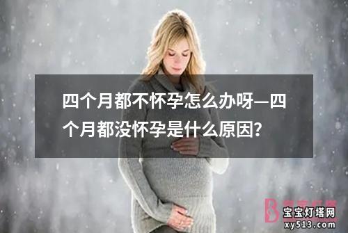 四个月都不怀孕怎么办呀—四个月都没怀孕是什么原因？