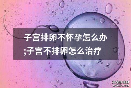 子宫排卵不怀孕怎么办;子宫不排卵怎么治疗