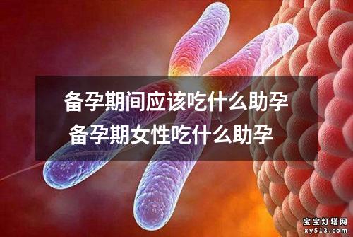 备孕期间应该吃什么助孕 备孕期女性吃什么助孕