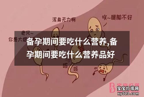 备孕期间要吃什么营养,备孕期间要吃什么营养品好