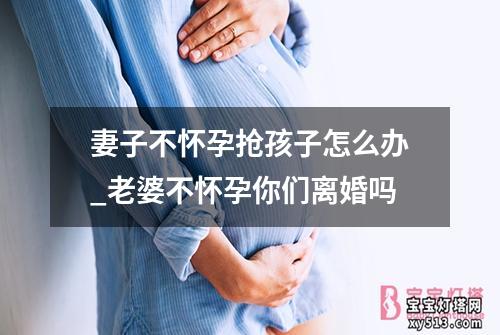 妻子不怀孕抢孩子怎么办_老婆不怀孕你们离婚吗