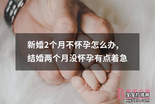 新婚2个月不怀孕怎么办,结婚两个月没怀孕有点着急