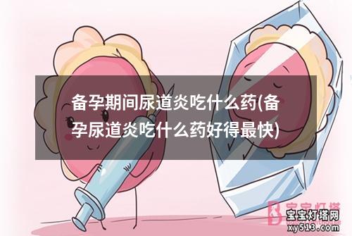 备孕期间尿道炎吃什么药(备孕尿道炎吃什么药好得最快)