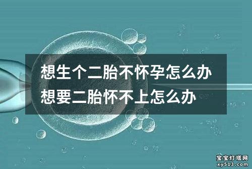 想生个二胎不怀孕怎么办想要二胎怀不上怎么办