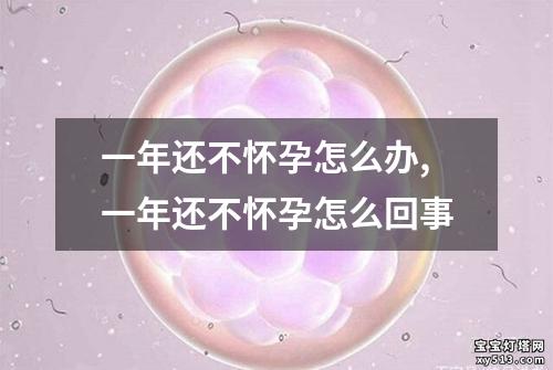 一年还不怀孕怎么办,一年还不怀孕怎么回事