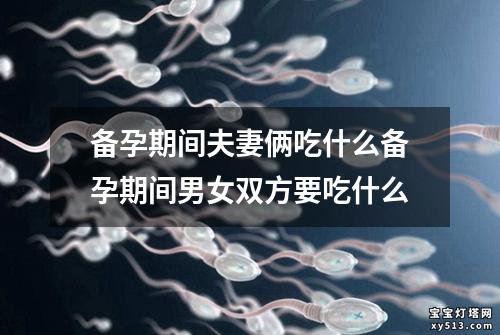 备孕期间夫妻俩吃什么备孕期间男女双方要吃什么