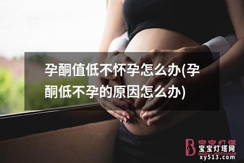 孕酮值低不怀孕怎么办(孕酮低不孕的原因怎么办)