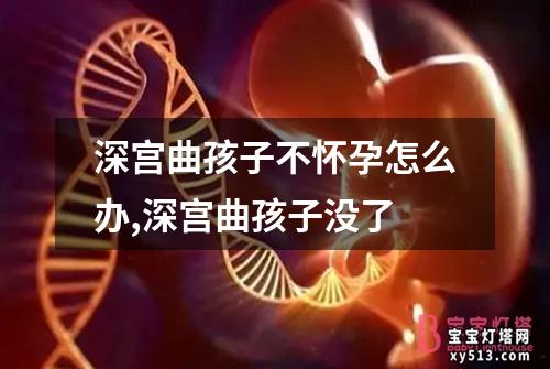 深宫曲孩子不怀孕怎么办,深宫曲孩子没了