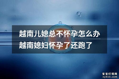 越南儿媳总不怀孕怎么办越南媳妇怀孕了还跑了