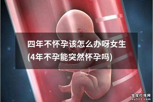 四年不怀孕该怎么办呀女生(4年不孕能突然怀孕吗)