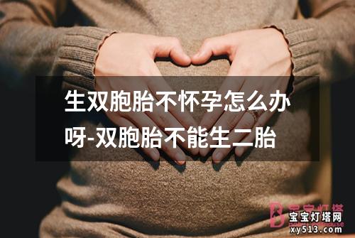 生双胞胎不怀孕怎么办呀-双胞胎不能生二胎