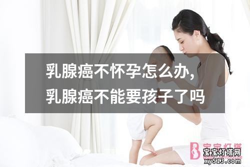 乳腺癌不怀孕怎么办,乳腺癌不能要孩子了吗