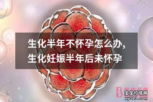 生化半年不怀孕怎么办,生化妊娠半年后未怀孕