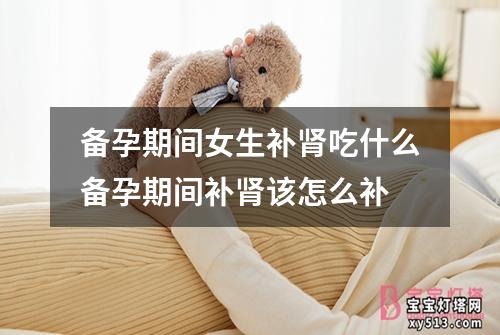 备孕期间女生补肾吃什么备孕期间补肾该怎么补