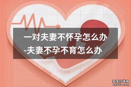 一对夫妻不怀孕怎么办-夫妻不孕不育怎么办