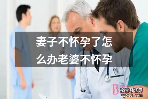 妻子不怀孕了怎么办老婆不怀孕