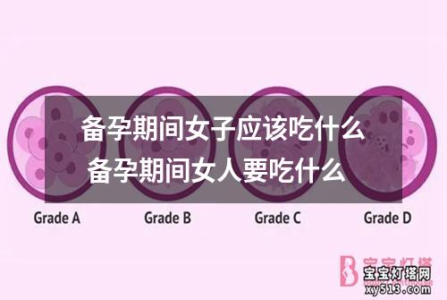 备孕期间女子应该吃什么 备孕期间女人要吃什么