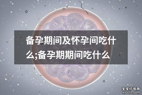 备孕期间及怀孕间吃什么;备孕期期间吃什么