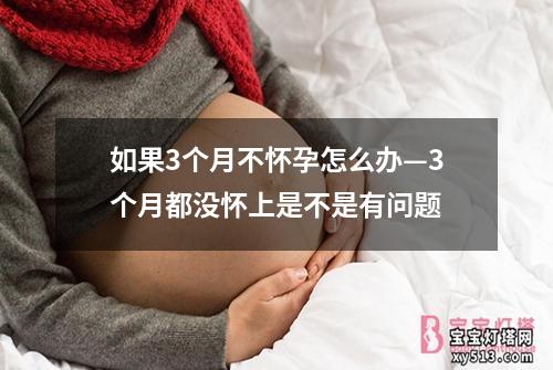 如果3个月不怀孕怎么办—3个月都没怀上是不是有问题