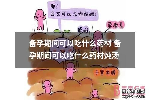 备孕期间可以吃什么药材 备孕期间可以吃什么药材炖汤