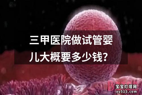 三甲医院做试管婴儿大概要多少钱？