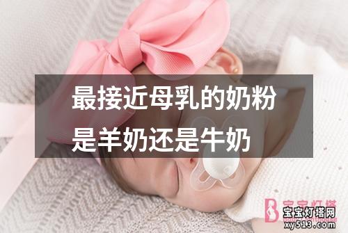 最接近母乳的奶粉是羊奶还是牛奶