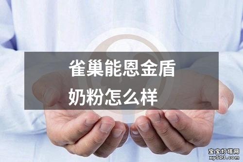 雀巢能恩金盾奶粉怎么样