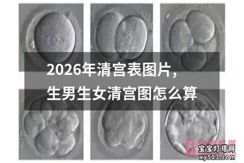 2026年清宫表图片,生男生女清宫图怎么算