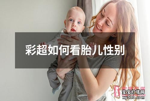 彩超如何看胎儿性别