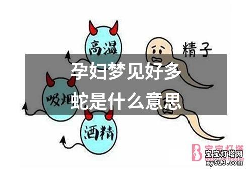 孕妇梦见好多蛇是什么意思