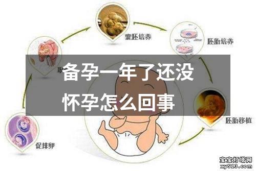 备孕一年了还没怀孕怎么回事