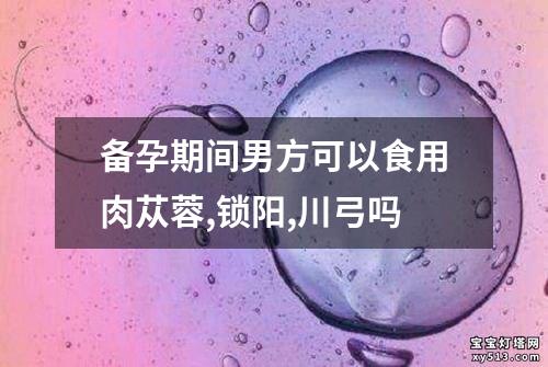 备孕期间男方可以食用肉苁蓉,锁阳,川弓吗