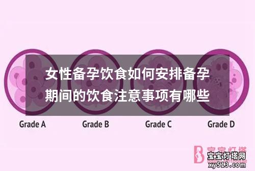 女性备孕饮食如何安排备孕期间的饮食注意事项有哪些