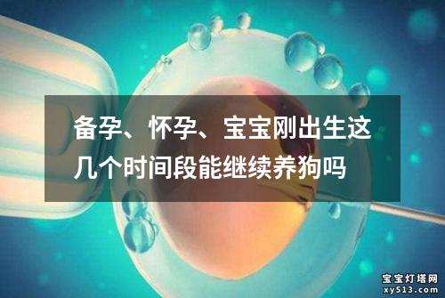 备孕、怀孕、宝宝刚出生这几个时间段能继续养狗吗