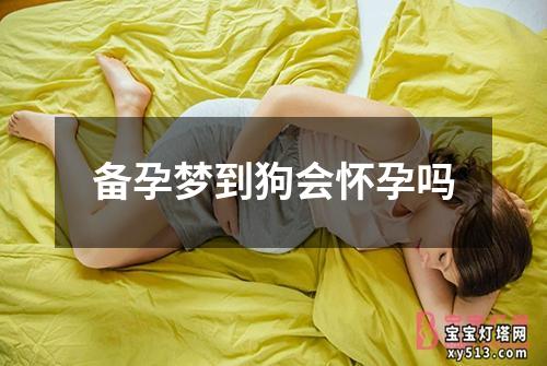 备孕梦到狗会怀孕吗