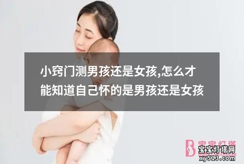 小窍门测男孩还是女孩,怎么才能知道自己怀的是男孩还是女孩