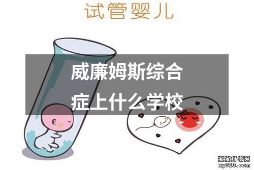 威廉姆斯综合症上什么学校